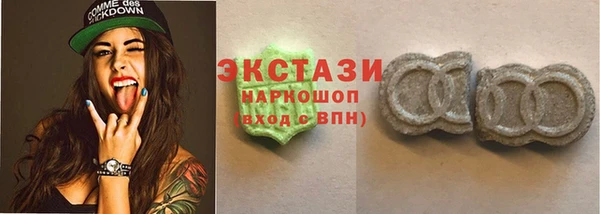 хмурый Аркадак