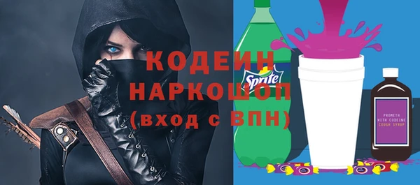 хмурый Аркадак