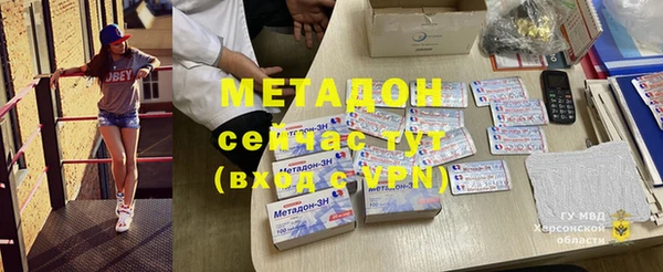 хмурый Аркадак