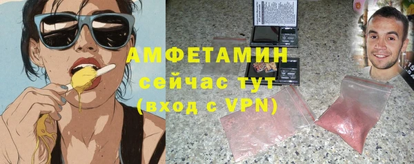 хмурый Аркадак