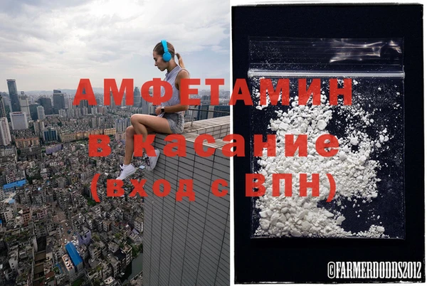 хмурый Аркадак