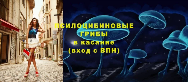 хмурый Аркадак
